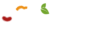 MOLECOLAB