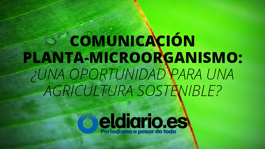 comunicacion-planta-microorganismo-el-diario
